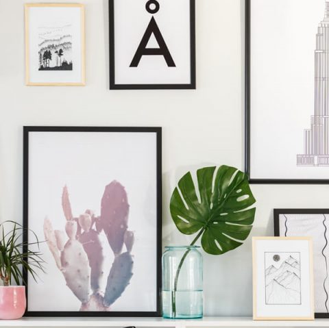 Gallery image with a fresh perspective